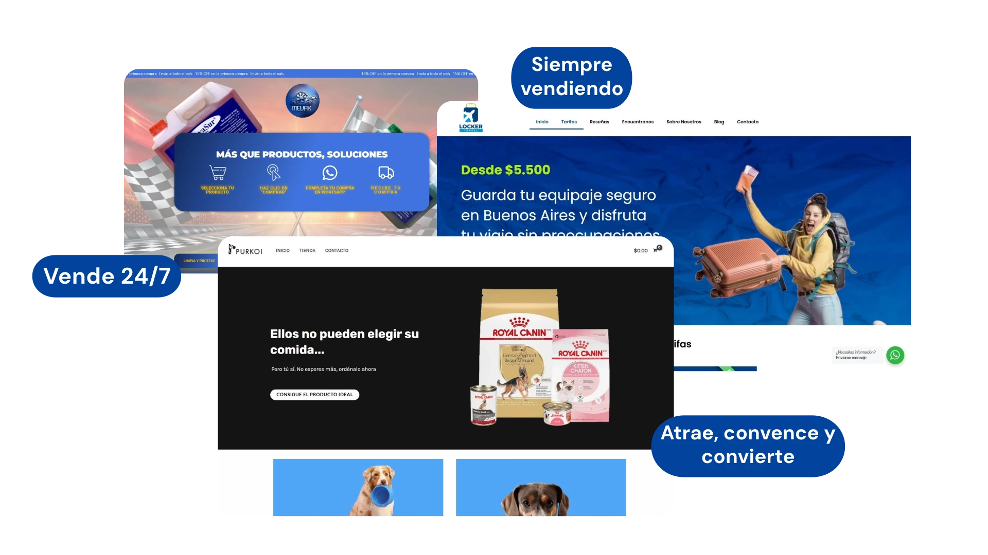 Sitio Web Corporativo - Haz que tu empresa se vea seria y confiable desde el primer clic